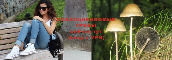 мет Коряжма