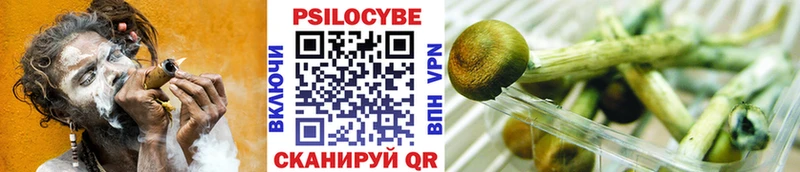 Галлюциногенные грибы MAGIC MUSHROOMS  Ясный 